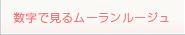 数字で見るムーランルージュとは