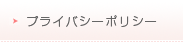プライバシーポリシー